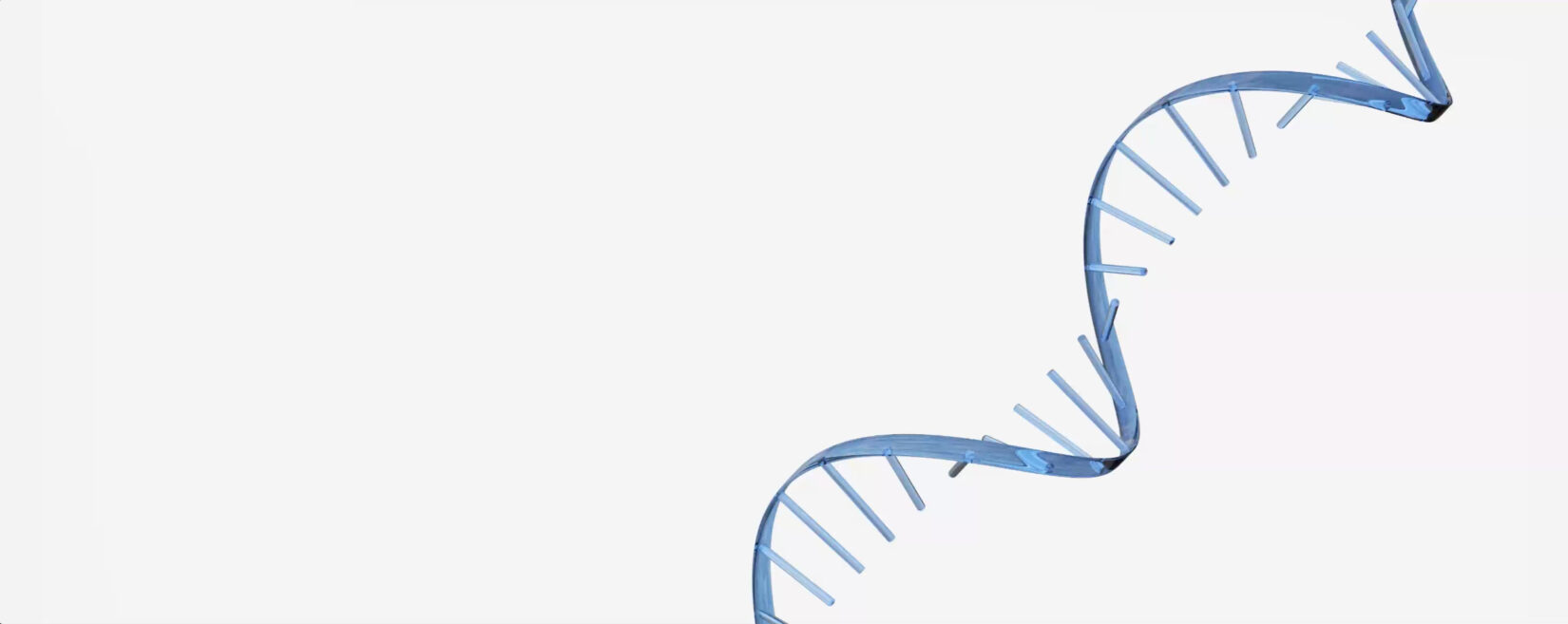 RNA strand against a white background