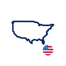 USA icon with flag